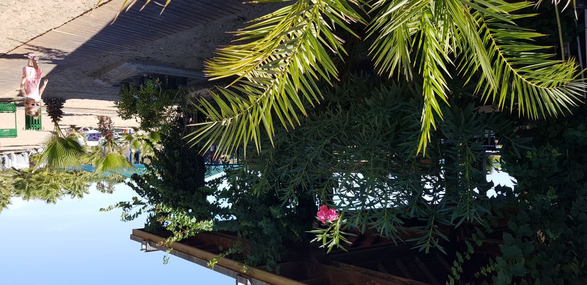 imagini hotel PALOMA OCEANA